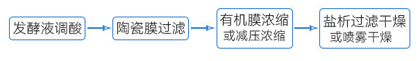 乳酸鏈球數(shù)----工藝流程